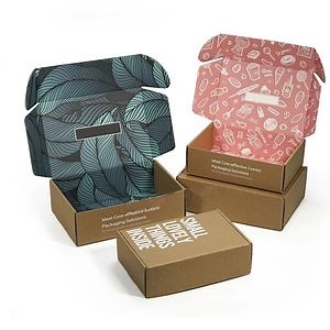 [Hot Item] Custom Printing Logo Colored Corrugated Carton Mailer Boxes Paper Shipping Box