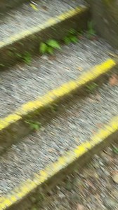 #girlfriend #boyfriend #fypシ゚ #girls | Nancy Palmer