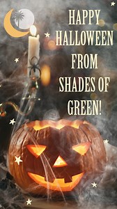 Shades of Green Resort on Reels | Facebook