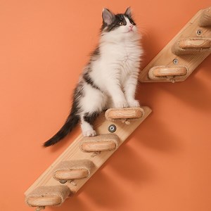Wall Mounted Cat Stairs: Sisal Rope, Wooden Cat Climbing Steps - Etsy Canada