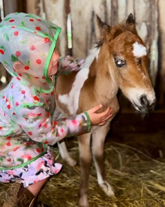 227K views · 10K reactions | Happy birthday baby BUMBLE!  | Plant Based Gabriel | Facebook