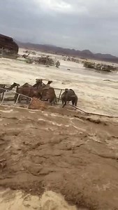 23K views · 265 reactions | ਰੱਬ ਚਾਹੇ ਤਾਂ ਕੀ ਨਹੀਂ ਹੋ ਸਕਦਾ , ਰੇਗਿਸਤਾਨ ਚ ਵੀ ਹੜ ਆ ਗਿਆ  | Dirty Politics | Facebook