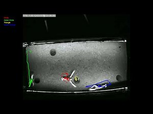 Norway lobsters jostle in a social hierarchy