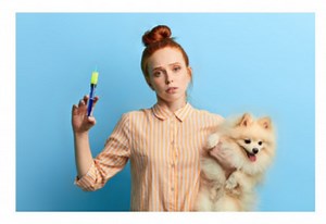 A Guide to the Parvo Virus and How to Treat It and Symptoms of Parvo and Signs That a Dog May Have It