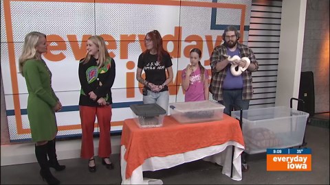 Everyday Iowa - The Cold-Blooded Redhead and Friends