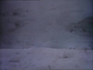 The Night They Saved Christmas (1984 Christmas Family) W