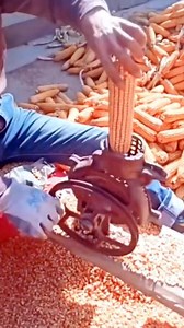 Corn Extraction Machine #corn #cornharvesting #farming #farm | Discover Agriculture | Facebook