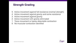 Pain in the Neck? Clinical Spinal Assessment of Neck and Arm Pain