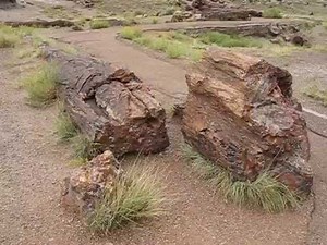 Giant Logs Trail at Petrified Forest National Park Panoramic View