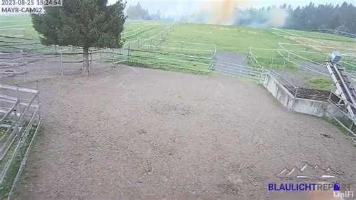 1.8K views · 67 reactions | ⚡️ This is what happens when lightning strikes an electric fence. Video from Oberstaufen, Bavaria on 25th Aug.  Blaulicht | Severe Weather & Natural Disasters | Facebook