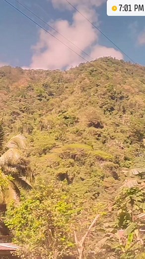 Evening prayer #prayers #praying | Jerry Soliva