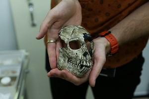 I Tried Answering the Top Googled Question: ‘Why Are We Still Here?’