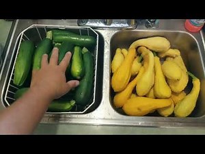 Freezing Zucchini and Squash to fry later