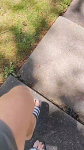 6.4K views · 13 reactions | Hello summer from Bellevue's most...