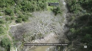 The third part of Nature Secrets Of Lebanon by @hichamtakach shows the beautiful wonders of Lebanon #Exploring #Travel #Destination #MyLebanon #AmazingLebanon #LiveLoveLebanon #DiscoverLebanon #ExploreLebanon #ProudLebanese #LebaneseAmericans #Lebanon #Lebanese #AmericansLebanese | Lebanese Americans