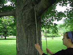 Tree Climbing: Useful Knots