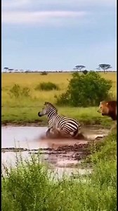 195K views · 1.2K reactions | Witness the raw power of nature as a...