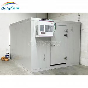 [Hot Item] Cold Storage Room Freezer Cold Room Price for Meat