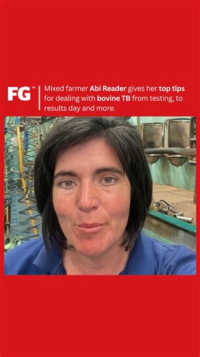 When it is TB testing time, the discussion is almost always about...