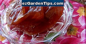 Как да замразим-сухи листенца от рози 🌱 Съвети Градинари - Bg.ezGardenTips.com