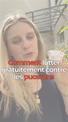 🐞 Lutter contre les Pucerons grâce aux Coccinelles! 🌱 Tu en as marre des pucerons qui envahissent ton jardin ? On a une astuce naturelle qui va te plaire! 🌼 Coccinelles à la rescousse! La ville de @caenofficiel offre une solution écologique et efficace depuis 1984 : la distribution gratuite de larves de coccinelle au Jardin des Plantes. C’est un moyen simple et naturel de protéger tes plantes. 📦 Comment ça marche ? Dans les petites boîtes distribuées, tu trouveras des papiers avec des œufs d