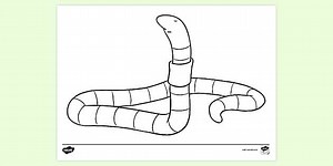 Earthworm Colouring Page
