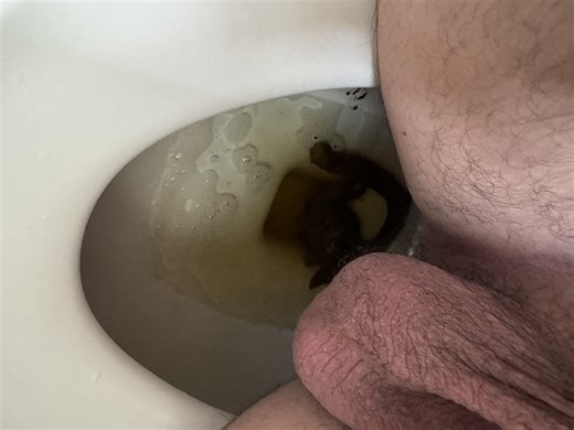 Sunday morning poop - video 6
