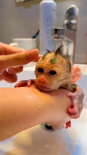 FunZone Kids01 on Instagram