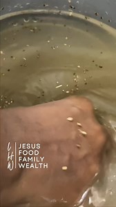 5.1K views · 191 reactions | This is also the same process for washing every type of grain, even Acha, to get rid of stones and sand. Do you have any questions regarding this, before we move on to Day 2, tomorrow? . . Genesis 41:49 NLT He piled up huge amounts of grain like sand on the seashore. Finally, he stopped keeping records because there was too much to measure. . . #lagoshousewife #itsallaboutJesus #Grains | Lagos HouseWife | Facebook