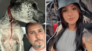 \u00a03 Texas hog hunters die in underground tank after dog falls in