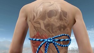 Fallout 4 - Женские тату / McGamer's Sexy CBBE Full Body Tattoos Mega Pack