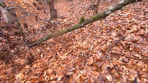 Unclaimed Baggage Stuff Stuff and more Stuff | Exploring Alabama