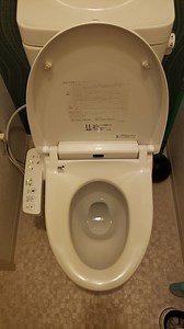 Dear Japan: I hate your fancy electric toilets.