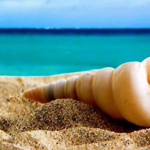 Arabic Rapper background music for video 💖 FREE DOWNLOAD