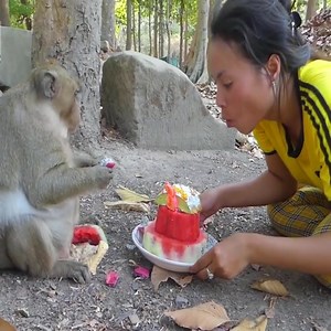 2.4K views · 25 reactions | Good Girl Give Monkey Birthday cake By Watermelon | 퐌퐨퐧퐤퐞퐲 퐋퐨퐯퐞퐫 | Facebook
