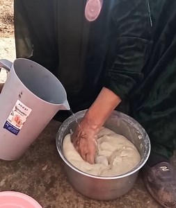 Favorite Local Bred by Nomadic Grandma | Naruto TV