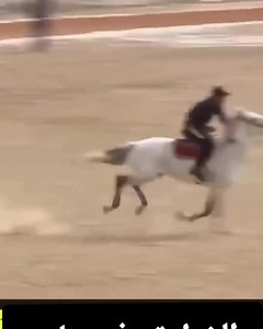 هذا يقدر يقول عن نفسه فارس 🏇 | Setif city - سطيف سيتي