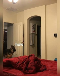 He never gave up searching. By long.coat.max | IG | 9GAG