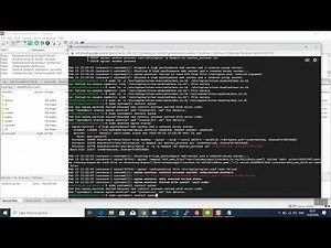 Setup DNS, Nginx web hosting
