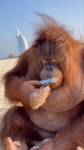 Un peu de musique | Musicos Magazine