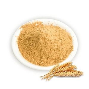 [Hot Item] China Suppliers Dry Bulk Powder Malted Black Malt Extract with Low Price