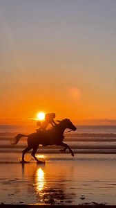 Is there anything more beautiful than riding into the sunset? 🏇🌅 🎥 @oceanranch_essaouira 🎵Hans Zimmer•Time | Ahmed Elabdi