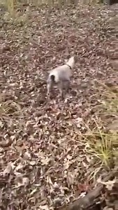 Akcija spašavanja ... #Top | You Are The Top