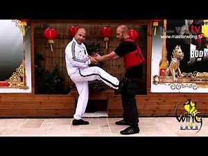Wing Chun Chi Sao - (grab and kick to the leg) Lesson 24