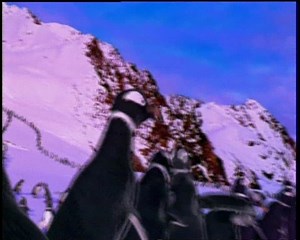 Canada dry : Domino - Culture Pub