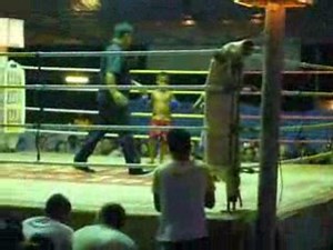 Combat Thai enfant.
