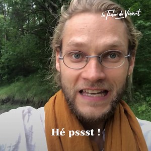 14K views · 797 reactions | Magazine WALP on Reels | Facebook