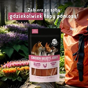 Świątek, piątek czy niedziela? PetRepublic w plecak zabieram! 🧳 | PetRepublic