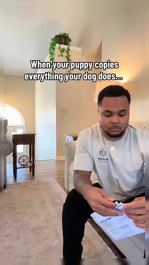 The definition of double trouble... #fyp #suavexavier #knox #viral | Vera Glover