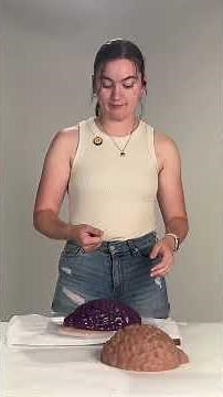 Divine Collection Hera vs. Cleo